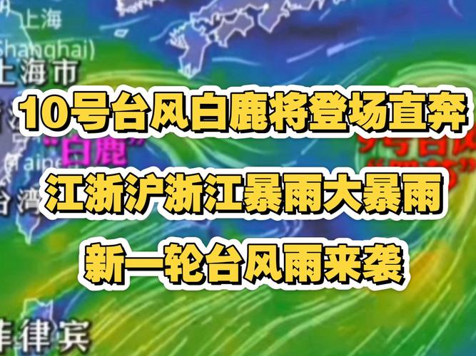 第10号台风“白鹿”生成，对我国海域无影响