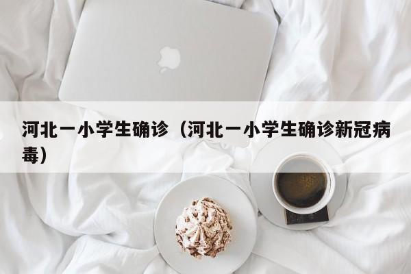 河北一小学生确诊（河北一小学生确诊新冠病毒）